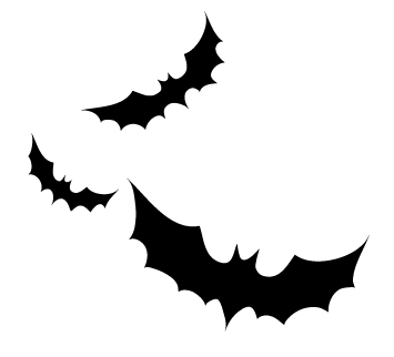 Netopýr